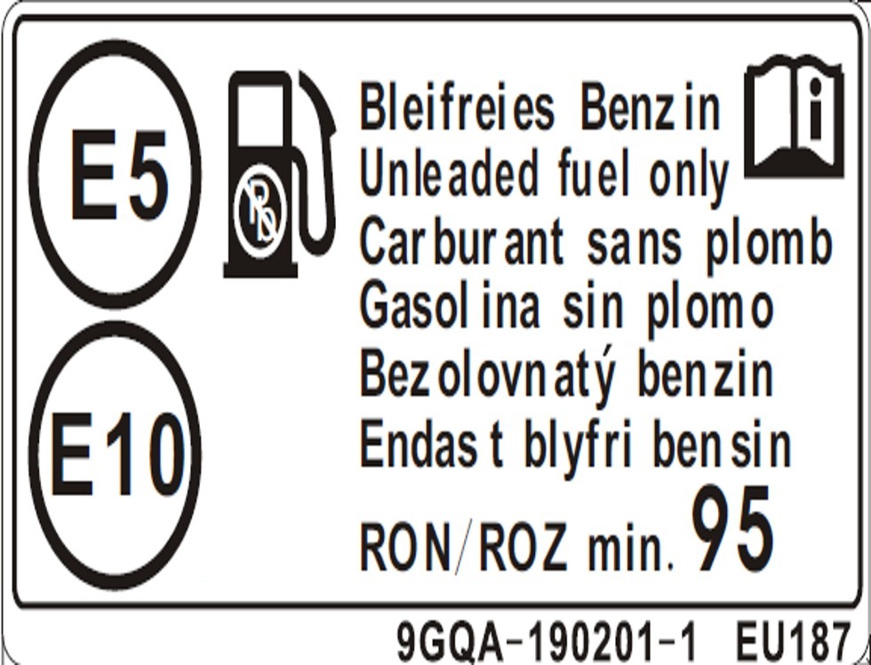 vvawA3AvUq_F19-6 (1).jpg